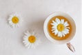 Tasty herbal tea and fresh chamomile flowers on white table, flat lay Royalty Free Stock Photo