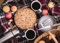 Tasty homemade apple pie Apple pie Apples Cinnamon Plate Woolen blanket Wooden background Top view Picnic Thermos Picnic basket