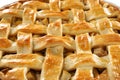 Tasty homemade apple pie, closeup Royalty Free Stock Photo