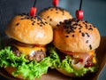 Tasty homemade burger ready to eat Royalty Free Stock Photo