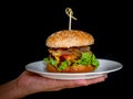 Tasty homemade burger ready to eat Royalty Free Stock Photo