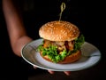 Tasty homemade burger ready to eat Royalty Free Stock Photo