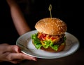 Tasty homemade burger ready to eat Royalty Free Stock Photo