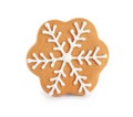 Tasty homemade Christmas cookie on white Royalty Free Stock Photo