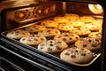 tasty homemade cookies with chocolate chip baking in the oven