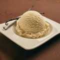 Tasty homemade creamy vanilla ice cream