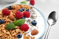 Tasty homemade granola with yogurt and berries on grey table, closeup. Healthy breakfast Royalty Free Stock Photo