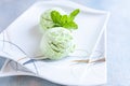 Tasty homemade mint ice cream with mint on portion dish