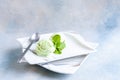 Tasty homemade mint ice cream with mint on portion dish