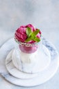 Tasty homemade multicolored popsicles ice cream with mint leaves in a glass cup Royalty Free Stock Photo