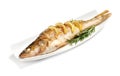 Tasty homemade roasted pike perch with rosemary on white background. River fish Royalty Free Stock Photo