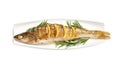 Tasty homemade roasted pike perch with rosemary on white background, top view. River fish Royalty Free Stock Photo