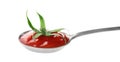 Tasty homemade tomato sauce and calyx in spoon Royalty Free Stock Photo