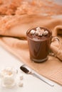 Tasty hot chocolate with marshmallow on a minimal brown tablecloth