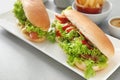 Tasty hot dogs with salad on plate Royalty Free Stock Photo