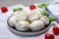 Tasty italian food, fresh white buffalo mozzarella soft cheese balls from Campania