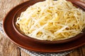 Tasty Italian Spaghetti Cacio e Pepe closeup in the plate. Horizontal