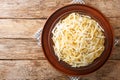 Tasty Italian Spaghetti Cacio e Pepe closeup in the plate. Horizontal top view