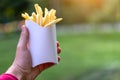 Tasty juicy french fries in white paper box in man hand on nature outdoors