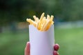 Tasty juicy french fries in white paper box in man hand on nature outdoors