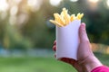 Tasty juicy french fries in white paper box in man hand on nature outdoors