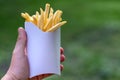 Tasty juicy french fries in white paper box in man hand on nature outdoors