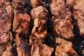 Tasty juicy pork barbecue cooking on metal skewers on charcoal outdoors grill with fire smoke Royalty Free Stock Photo