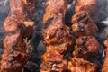 Tasty juicy pork barbecue cooking on metal skewers on charcoal outdoors grill with fragrant fire smoke. Royalty Free Stock Photo
