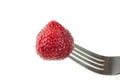 Tasty juicy red strawberry put on a fork, on a white plate in isolation, close-up Royalty Free Stock Photo
