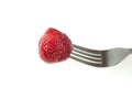 Tasty juicy red strawberry put on a fork, on a white plate in isolation, close-up Royalty Free Stock Photo