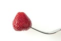 Tasty juicy red strawberry put on a fork, on a white plate in isolation, close-up Royalty Free Stock Photo