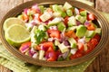 Tasty Kachumbari is a popular East African salad made with tomatoes, onion and avocado close up in the plate. Horizontal