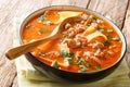 Tasty lasagna soup with minced meat, tomatoes, cheese and herbs close-up in a plate. horizontal