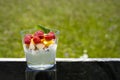 tasty looking healthy and yoghurt with fresh fruits like raspberries, peach, granola and mint leaf Royalty Free Stock Photo