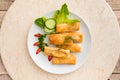 Tasty looking spring rolls served on a round plate with garnish