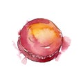 Tasty macaroon in a watercolor style. Background illustration set. Watercolour drawing fashion aquarelle isolated.