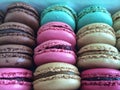 Tasty macaroons, the ultimate French delicacy