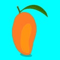 A Tasty Mango fruit with leaf illustration Vector Art Design