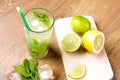Tasty mojito coctail Royalty Free Stock Photo
