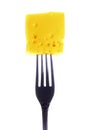 Tasty morsel cheese on a fork