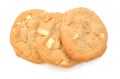 A small stack of macadamia nut and white chocolate cookies. Royalty Free Stock Photo