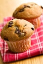 Tasty muffin with chocolate