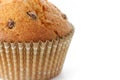 Tasty muffin in closeup