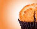 Tasty muffin closeup Royalty Free Stock Photo