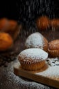 Tasty muffin closeup on a wooden board sprinkled with powdered sugar, selective focus Royalty Free Stock Photo