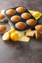 Tasty muffins with poppy seeds and lemon close-up in a metal muffin pan. vertical Royalty Free Stock Photo