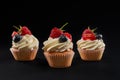 Tasty mufins with berries, isolated on black background. Royalty Free Stock Photo