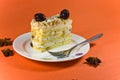 Tasty multy layer cake with white chocolate.