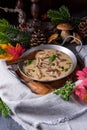 Tasty mushroom sauce Royalty Free Stock Photo