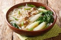 Tasty noodle soup with mushrooms, green onions and bok choy closeup in a bowl. horizontal